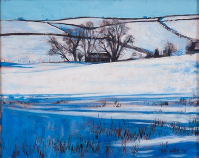 Snow Shadows, 2010 by Tilly Willis
